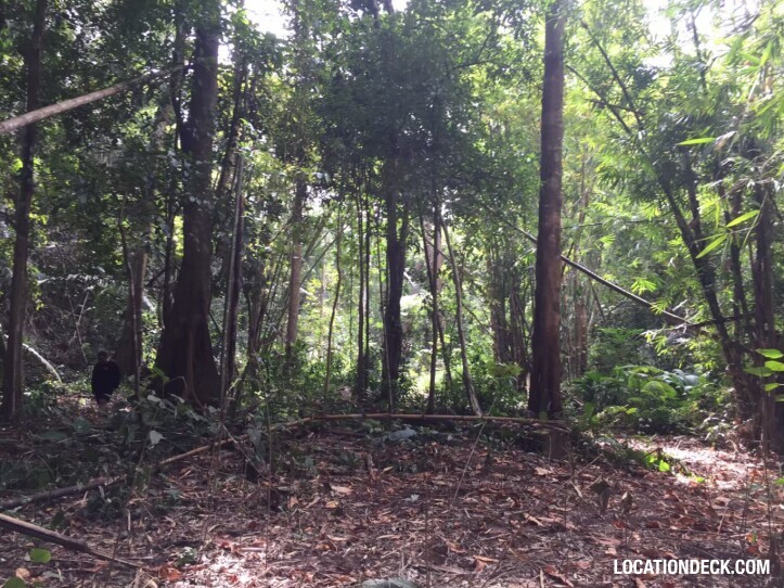 Sahakorn Forest - Kanchanaburi, Thailand Filming Location