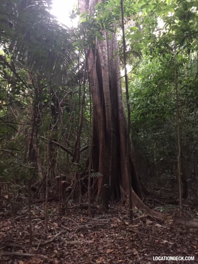 Sahakorn Forest - Kanchanaburi, Thailand Filming Location