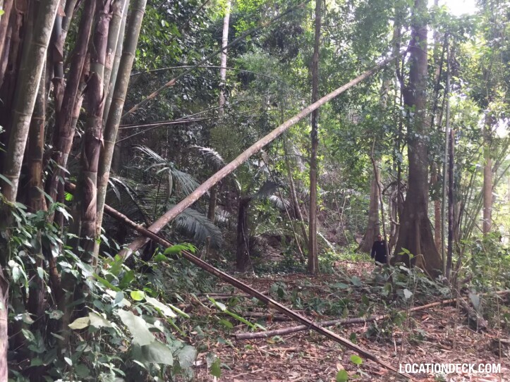 Sahakorn Forest - Kanchanaburi, Thailand Filming Location