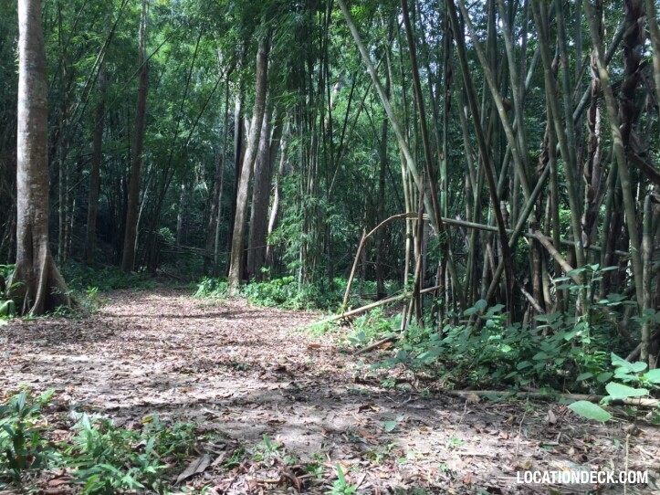 Sahakorn Forest - Kanchanaburi, Thailand Filming Location