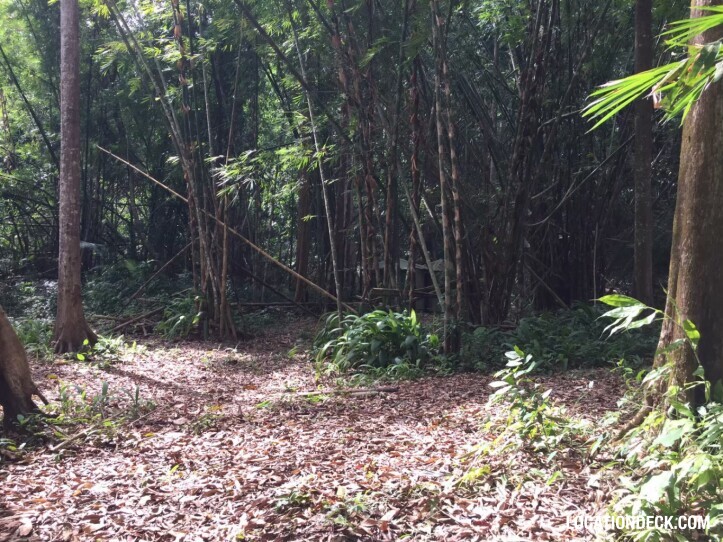 Sahakorn Forest - Kanchanaburi, Thailand Filming Location