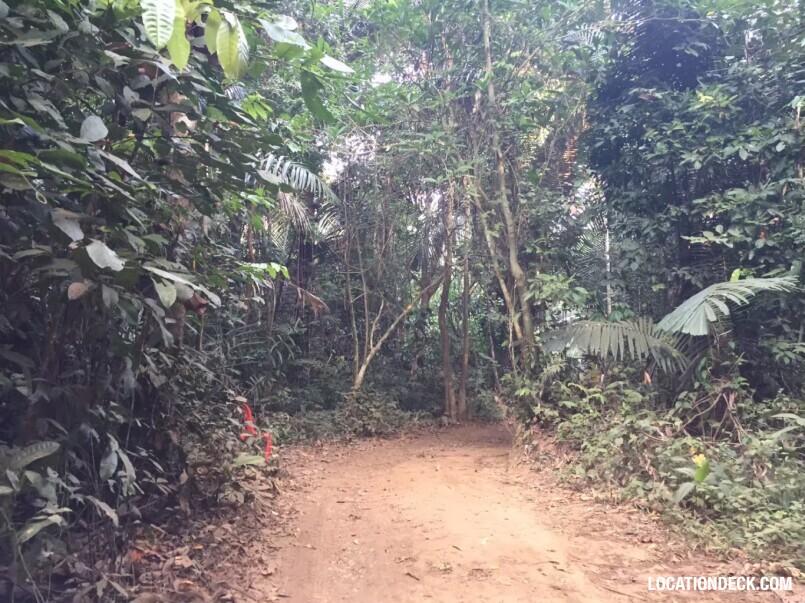 Sahakorn Forest - Kanchanaburi, Thailand Filming Location
