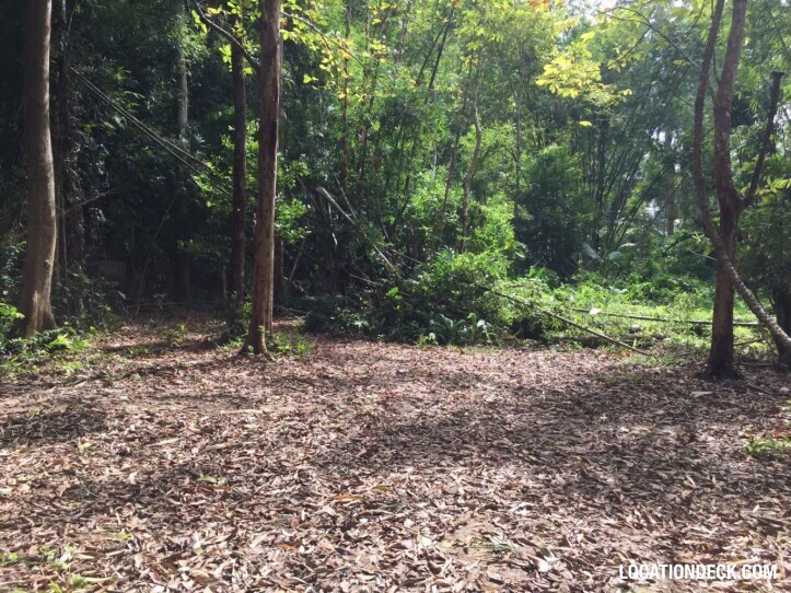 Sahakorn Forest - Kanchanaburi, Thailand Filming Location