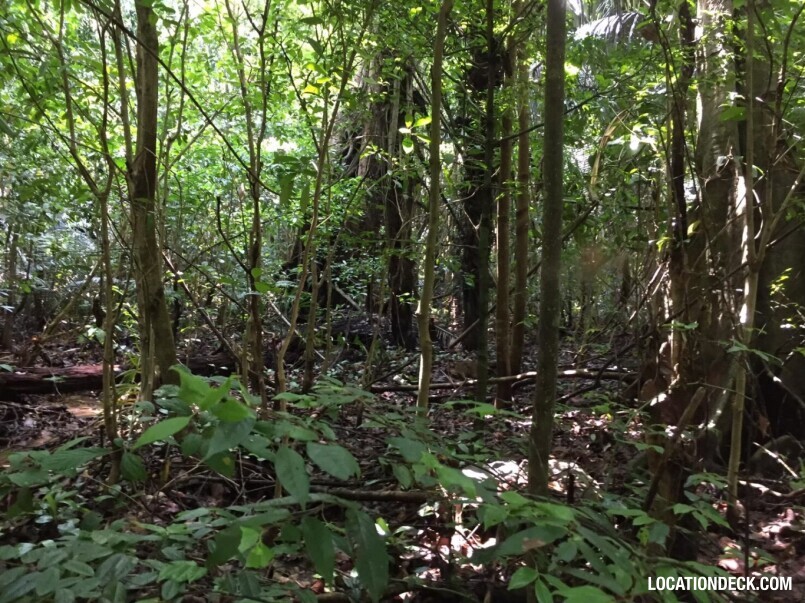 Sahakorn Forest - Kanchanaburi, Thailand Filming Location