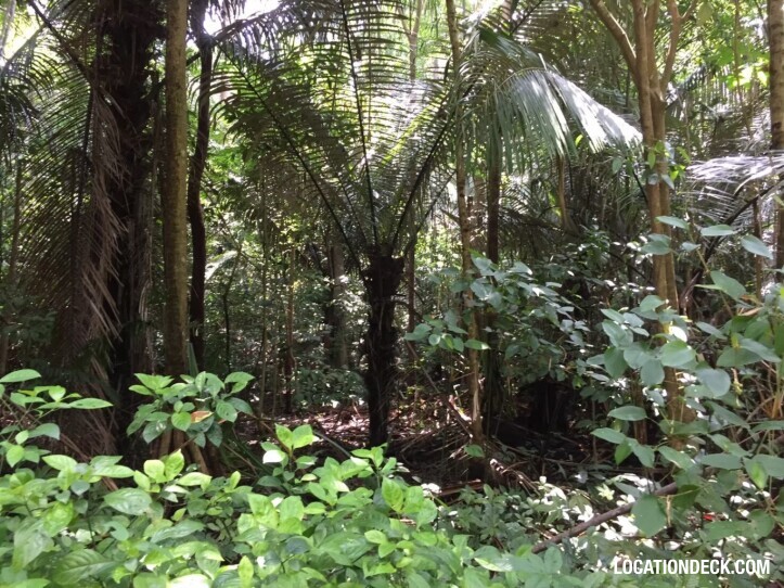 Sahakorn Forest - Kanchanaburi, Thailand Filming Location