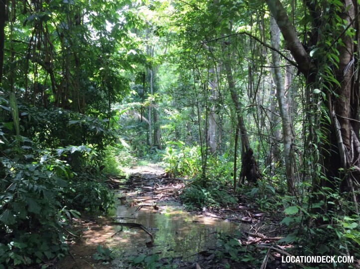 Sahakorn Forest - Kanchanaburi, Thailand Filming Location