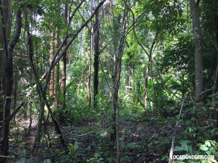 Sahakorn Forest - Kanchanaburi, Thailand Filming Location