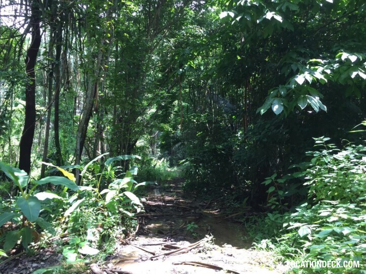 Sahakorn Forest - Kanchanaburi, Thailand Filming Location