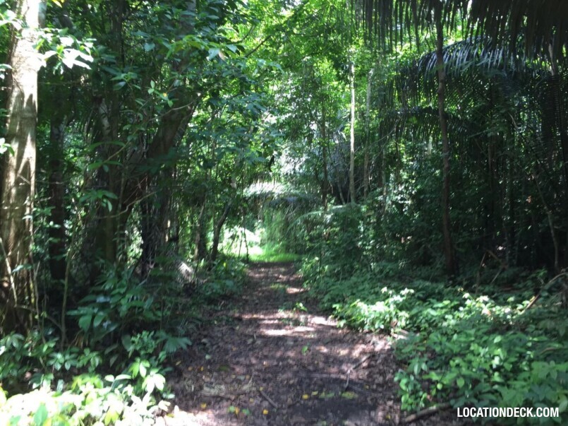 Sahakorn Forest - Kanchanaburi, Thailand Filming Location