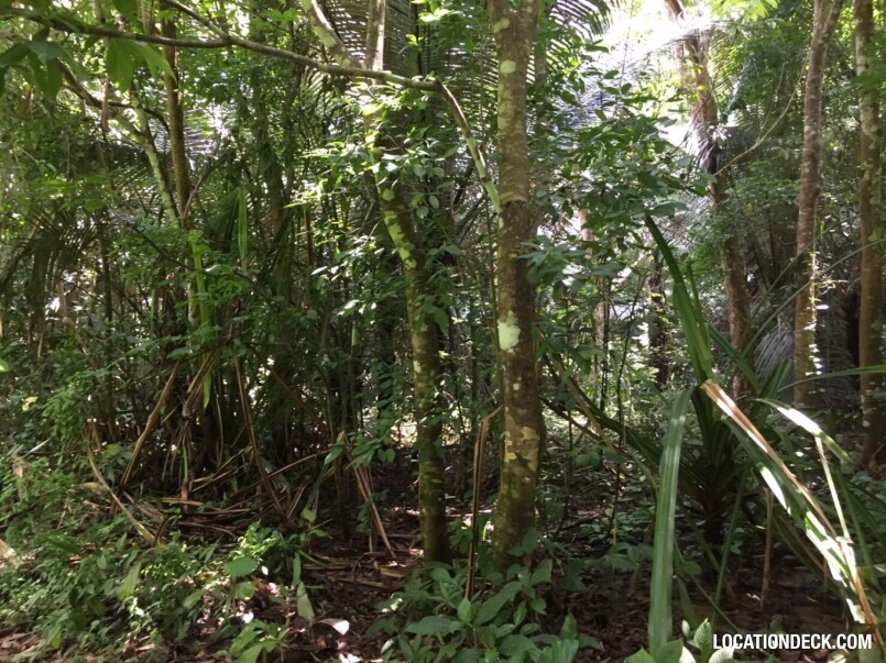 Sahakorn Forest - Kanchanaburi, Thailand Filming Location