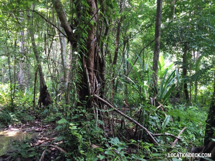 Sahakorn Forest - Kanchanaburi, Thailand Filming Location
