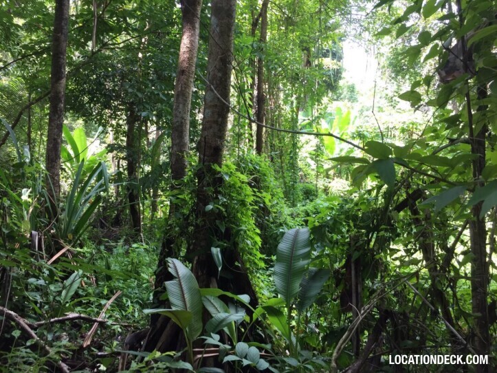 Sahakorn Forest - Kanchanaburi, Thailand Filming Location