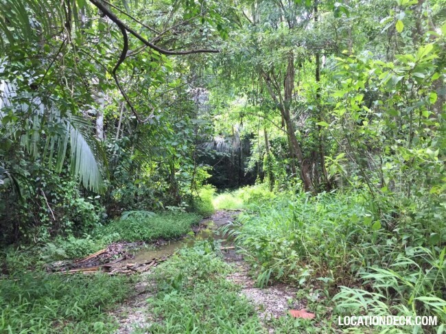 Sahakorn Forest - Kanchanaburi, Thailand Filming Location