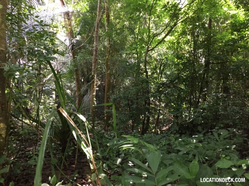 Sahakorn Forest - Kanchanaburi, Thailand Filming Location