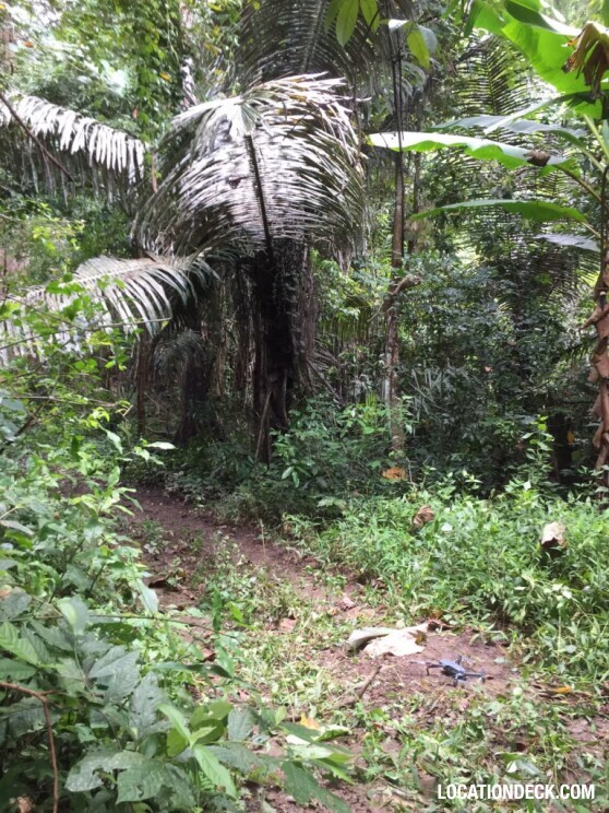 Sahakorn Forest - Kanchanaburi, Thailand Filming Location