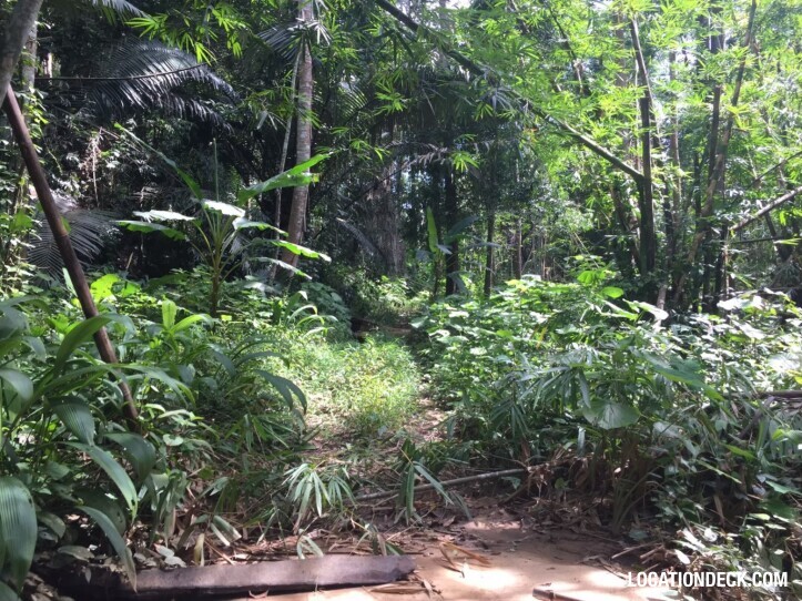 Sahakorn Forest - Kanchanaburi, Thailand Filming Location