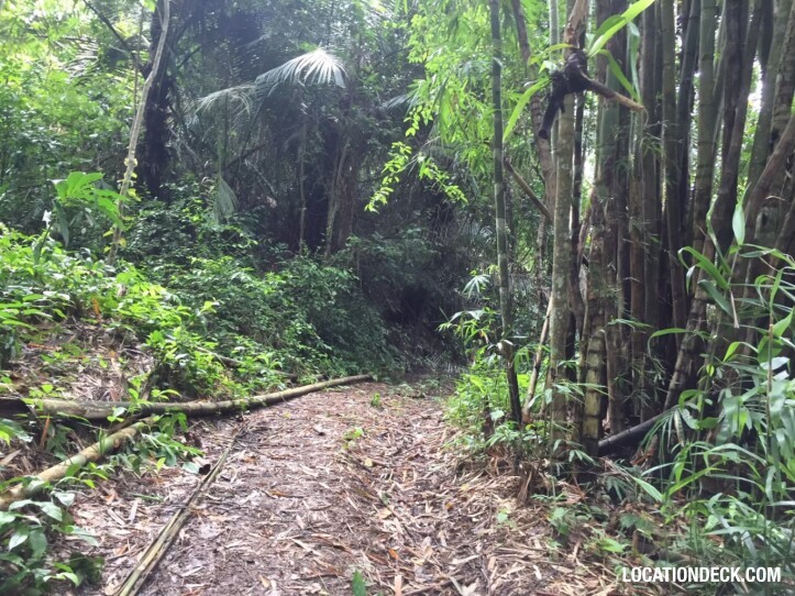 Sahakorn Forest - Kanchanaburi, Thailand Filming Location
