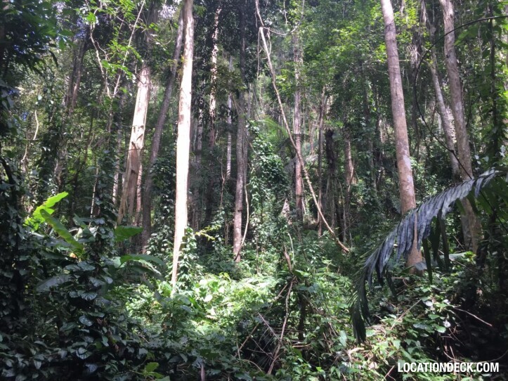 Sahakorn Forest - Kanchanaburi, Thailand Filming Location