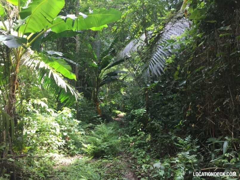 Sahakorn Forest - Kanchanaburi, Thailand Filming Location