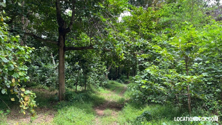 Sai Yok National Park - Kanchanaburi, Thailand Filming Location