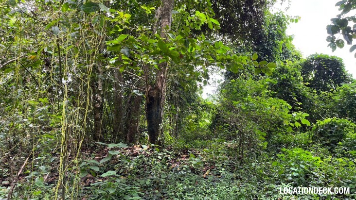 Sai Yok National Park - Kanchanaburi, Thailand Filming Location