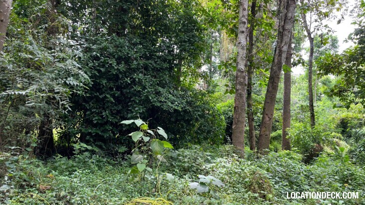 Sai Yok National Park - Kanchanaburi, Thailand Filming Location