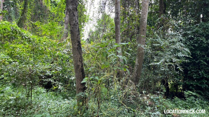 Sai Yok National Park - Kanchanaburi, Thailand Filming Location