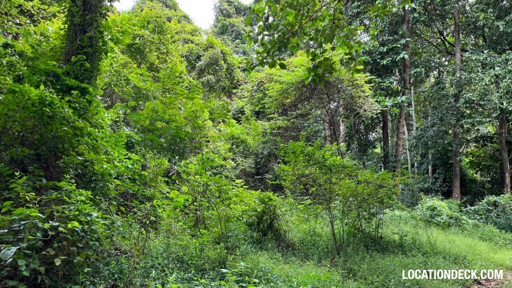 Sai Yok National Park - Kanchanaburi, Thailand Filming Location