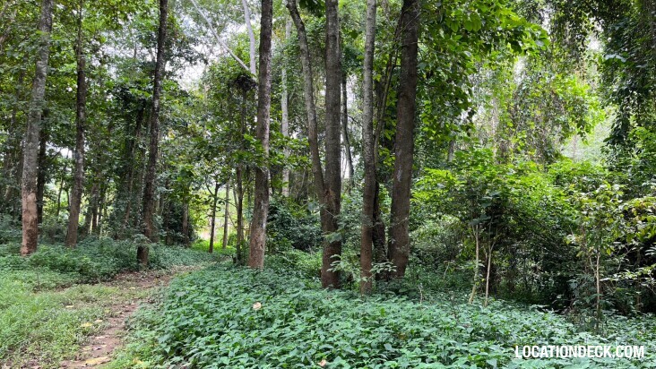 Sai Yok National Park - Kanchanaburi, Thailand Filming Location