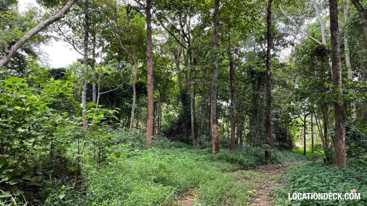 Sai Yok National Park - Kanchanaburi, Thailand Filming Location