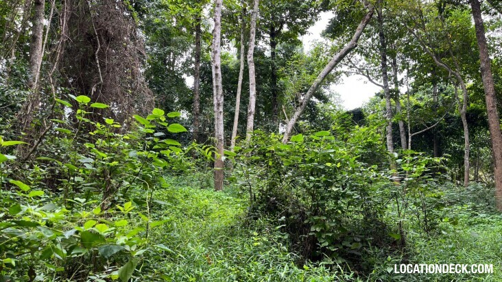 Sai Yok National Park - Kanchanaburi, Thailand Filming Location