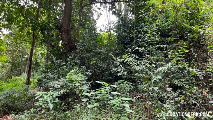 Sai Yok National Park - Kanchanaburi, Thailand Filming Location