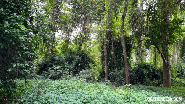 Sai Yok National Park - Kanchanaburi, Thailand Filming Location