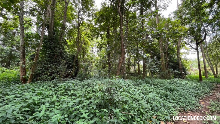 Sai Yok National Park - Kanchanaburi, Thailand Filming Location