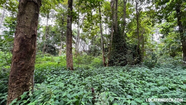 Sai Yok National Park - Kanchanaburi, Thailand Filming Location