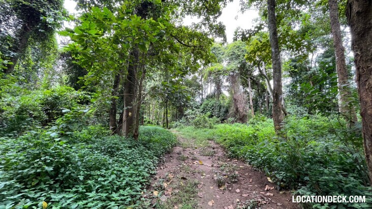 Sai Yok National Park - Kanchanaburi, Thailand Filming Location