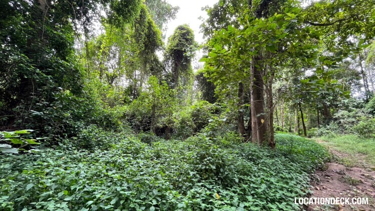 Sai Yok National Park - Kanchanaburi, Thailand Filming Location