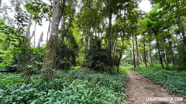 Sai Yok National Park - Kanchanaburi, Thailand Filming Location