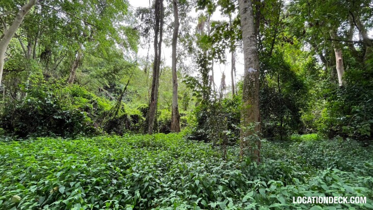 Sai Yok National Park - Kanchanaburi, Thailand Filming Location