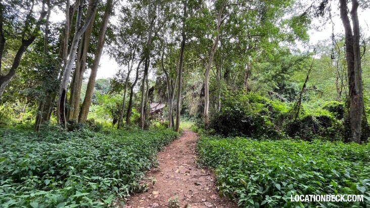 Sai Yok National Park - Kanchanaburi, Thailand Filming Location