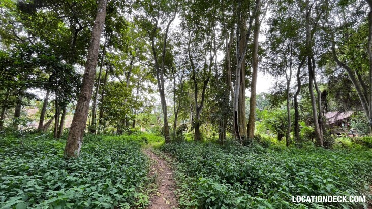 Sai Yok National Park - Kanchanaburi, Thailand Filming Location