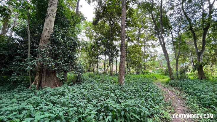 Sai Yok National Park - Kanchanaburi, Thailand Filming Location