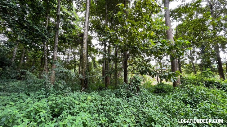 Sai Yok National Park - Kanchanaburi, Thailand Filming Location