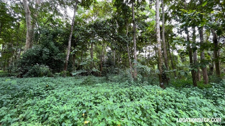 Sai Yok National Park - Kanchanaburi, Thailand Filming Location