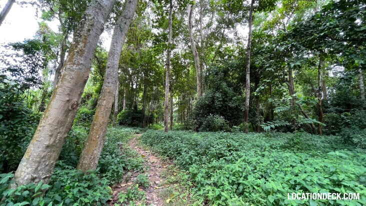 Sai Yok National Park - Kanchanaburi, Thailand Filming Location