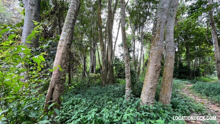 Sai Yok National Park - Kanchanaburi, Thailand Filming Location