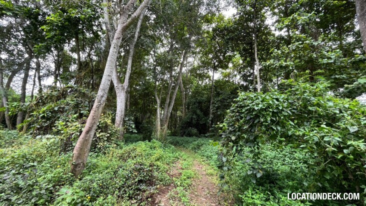 Sai Yok National Park - Kanchanaburi, Thailand Filming Location