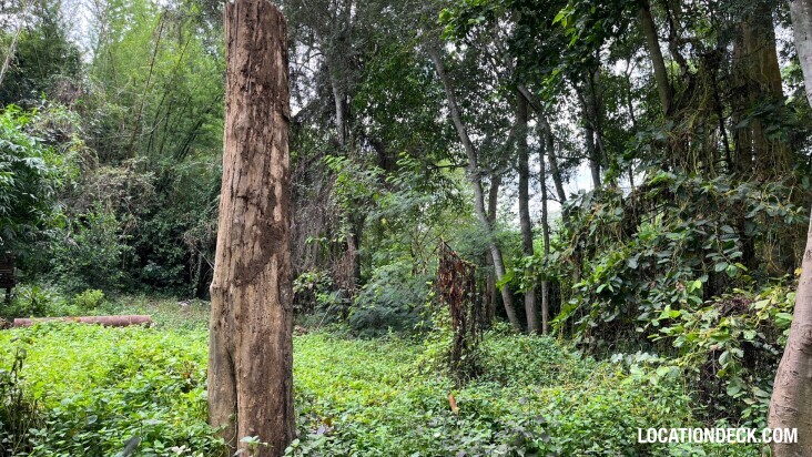 Sai Yok National Park - Kanchanaburi, Thailand Filming Location