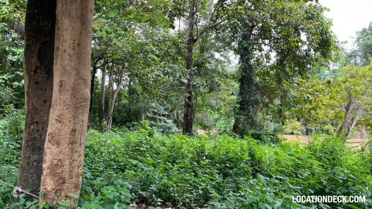 Sai Yok National Park - Kanchanaburi, Thailand Filming Location