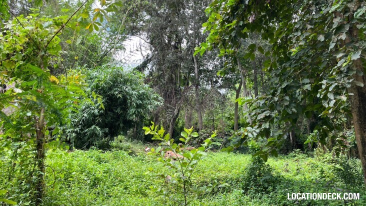 Sai Yok National Park - Kanchanaburi, Thailand Filming Location